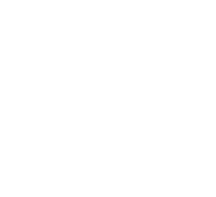 Logo Chapa Blanco